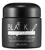 MIZON Black Snail All In One veido kremas, 75 ml