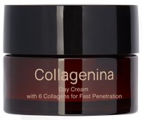 COLLAGENINA With 6 Collagens, Grade 2, Day veido kremas, 50 ml