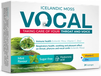 VOCAL  Ha Mint Flavour pastilės, 24 vnt.