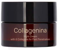 COLLAGENINA With 6 Collagens, Grade 2, Night veido kremas, 50 ml