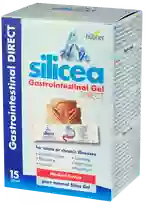 SILICEA Gastrointestinal Gel Direct virškinamojo trakto gelis paketėliai, 15 vnt.