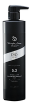 DSD DE LUXE Dixidox 5.3 pažeistiems plaukams plaukų kaukė, 500 ml