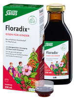 FLORADIX  Floradix skysta vitaminų B1, B2, B6, B12, C formulė, su aviečių sultimis, skystis, 250 ml