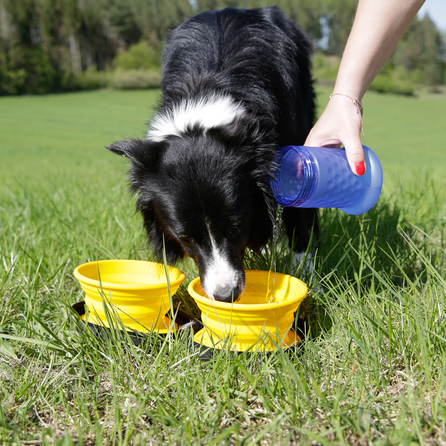 KIWI WALKER kelioninis, 2 in 1, rožinis/mėlynas butelis, 1 vnt.