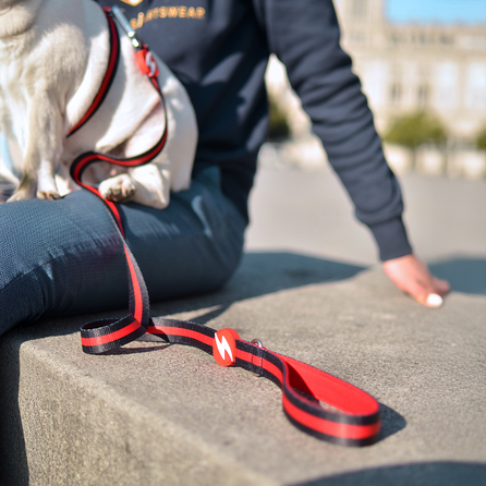 DASHI STRIPES3 RED&BLACK, S šunims pavadėlis, 1 vnt.