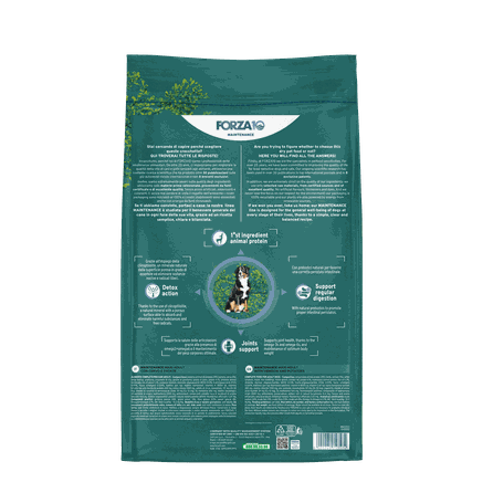 FORZA10 Maintenance Maxi Adult su elniena ir bulvėmis, šunims sausas pašaras, 12 kg