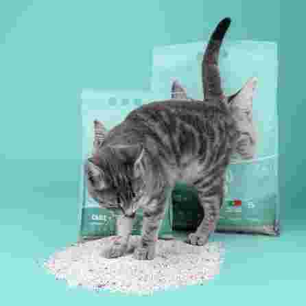 WEEGO Care+ 15L cementuojantis smėlis katės tualetui, 15 L