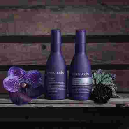 BJORN AXEN Cool Silver kondicionierius, 250 ml
