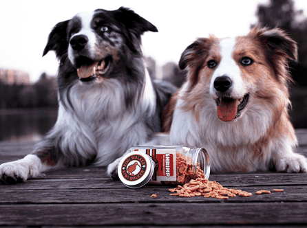 KIWI WALKER krevetės, liofilizuotos skanėstas, 50 g