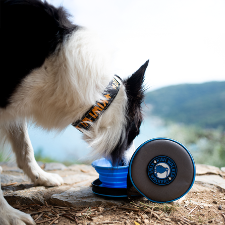 KIWI WALKER sulankstomas dvigubas, mėlynas dubenėlis, 1 vnt.