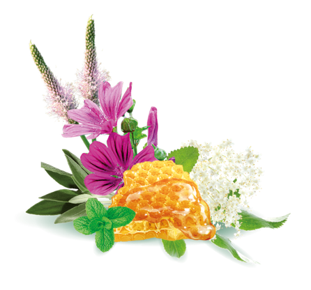 ALPENBAUER BIO 20 Kräuter, su žolelių ekstraktais saldainiai, 90 g