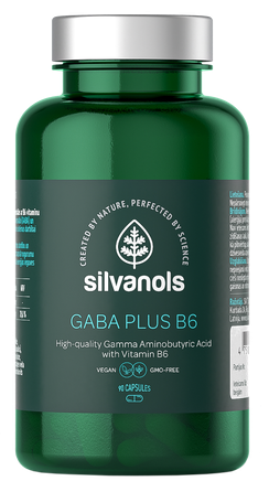 SILVANOLS Gaba Plus B6 kapsulės, 90 vnt.