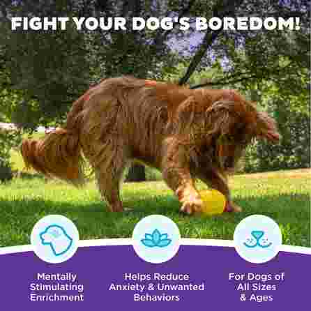 OUTWARD HOUND Treat Tumble, raudonas, L žaislas, 1 vnt.