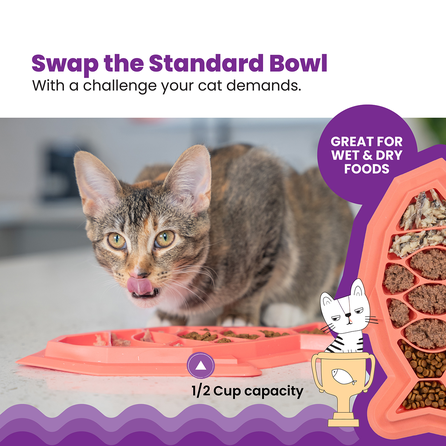 CATSTAGES rožinis dubenėlis, 1 vnt.