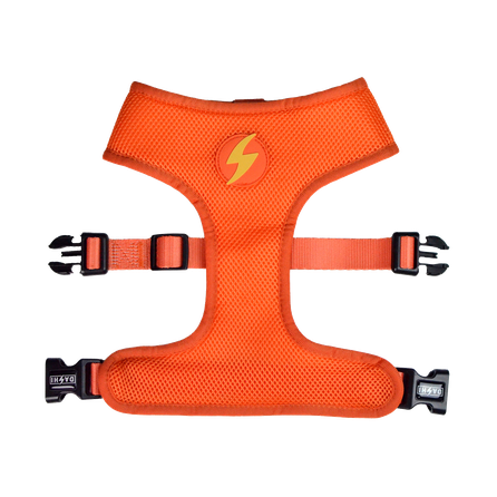 DASHI TERRACOTTA NEO MESH, šunims, L petnešos, 1 vnt.