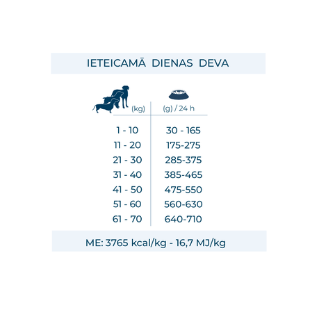 FORZA10 Maintenance Adult All Size su kiauliena, šunims sausas pašaras, 12 kg