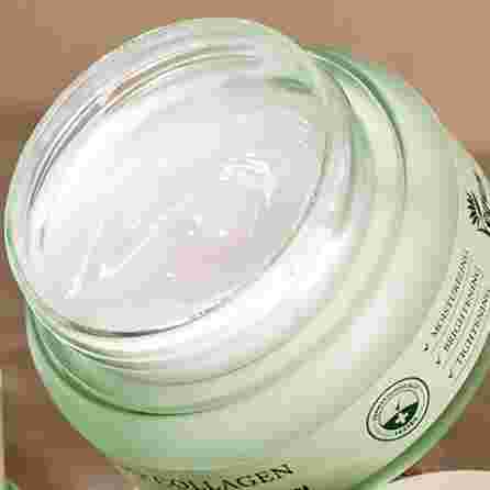 MIZON Phyto Plump Collagen dieninis veido kremas, 50 ml