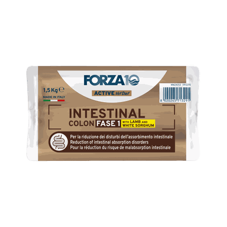 FORZA10 Active VetDiet Intestinal Colon FASE 1, su ėriena ir sorgu, šunims sausas pašaras, 1.5 kg
