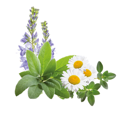 ALPENBAUER BIO Salbei-Kräuter, su šalavijo ir žolelių ekstraktais saldainiai, 90 vnt.