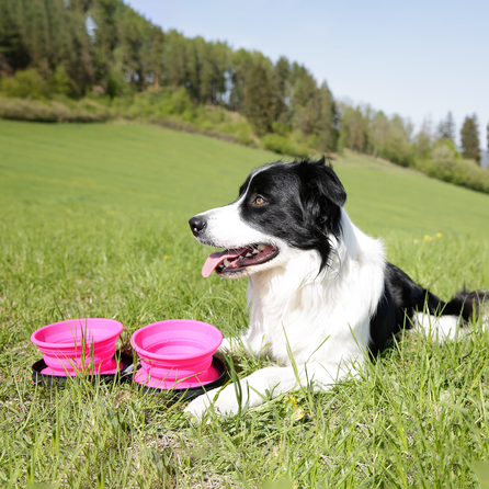 KIWI WALKER sulankstomas dvigubas, rožinis dubenėlis, 1 vnt.