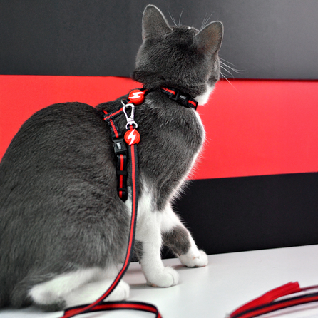 DASHI  STRIPES3 RED&BLACK, katėms pavadėlis, 1 vnt.