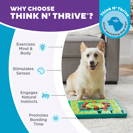 OUTWARD HOUND Multipuzzle, žalias žaislas, 1 vnt.