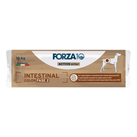 FORZA10 Active VetDiet Intestinal Colon FASE 2, šunims sausas pašaras, 10 kg