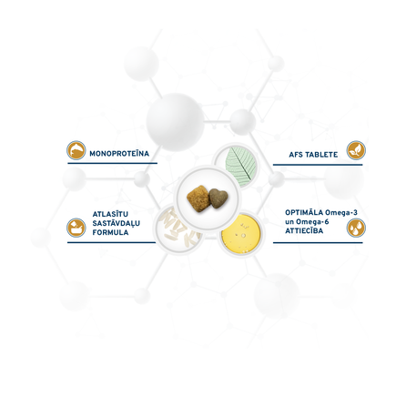 FORZA10 Active VetDiet Urinary MINI/TOY, šunims sausas pašaras, 1.5 kg