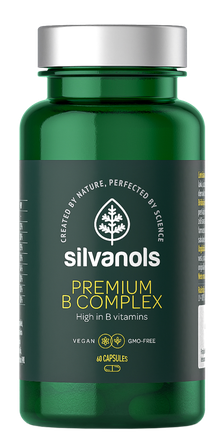 SILVANOLS Premium B Complex kapsulės, 60 vnt.