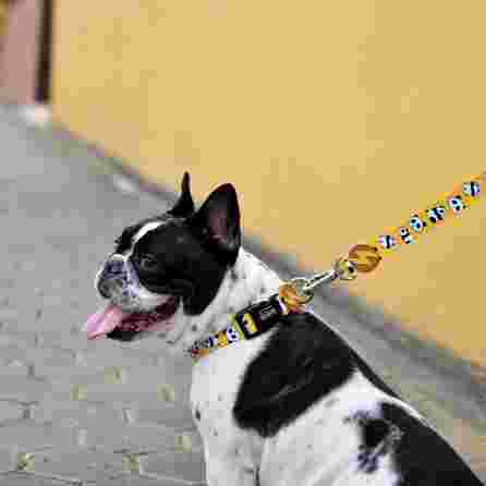 DASHI pavadėlis, 1 vnt.