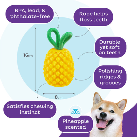 OUTWARD HOUND Dental Pineapple, geltonas žaislas, 1 vnt.
