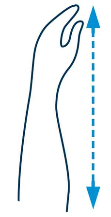 PRIM Excellent dydis L, fiksuojantis rankų įtvaras, 1 vnt.