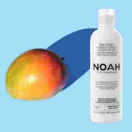 NOAH 2.1 Nourishing, Mango kondicionierius, 250 ml