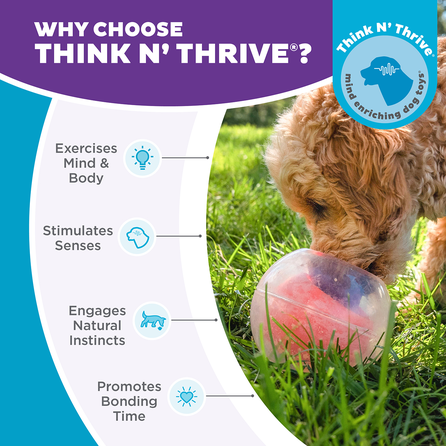 OUTWARD HOUND Topsy Treat Ball, oranžinis žaislas, 1 vnt.