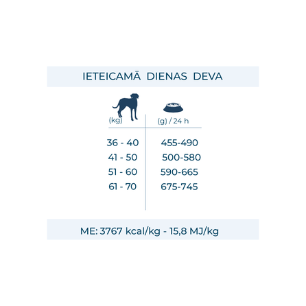 FORZA10 MonoDiet Maxi Adult, su žuvimi, šunims sausas pašaras, 12 kg
