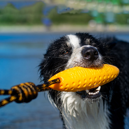 KIWI WALKER skraidančios formos, oranžinis, MINI žaislas, 1 vnt.