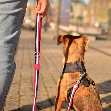 DASHI pavadėlis, 1 vnt.