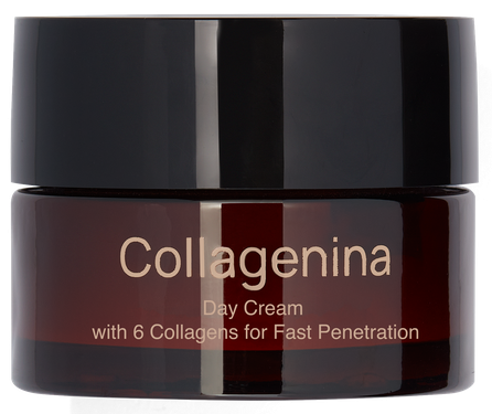 COLLAGENINA With 6 Collagens, Grade 2, Day veido kremas, 50 ml