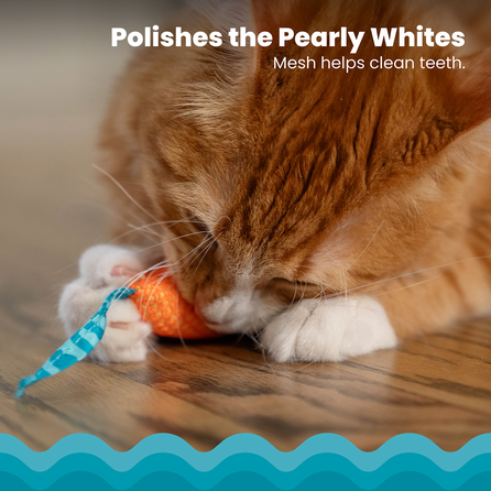 CATSTAGES Catnip Chew Mice žaislas, 1 vnt.