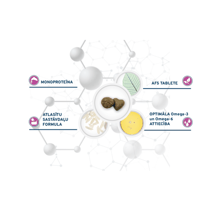 FORZA10 Active VetDiet Cat Hypoallergenic, katėms sausas pašaras, 1.5 kg