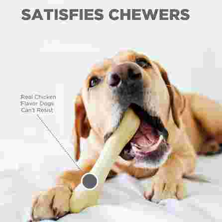 PETSTAGES Chick‑A‑Bone baltas, S  žaislas, 1 vnt.