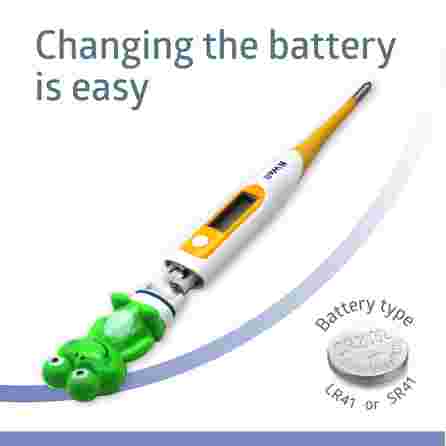 B.WELL PRO-06 skaitmeninis termometras, 1 vnt.