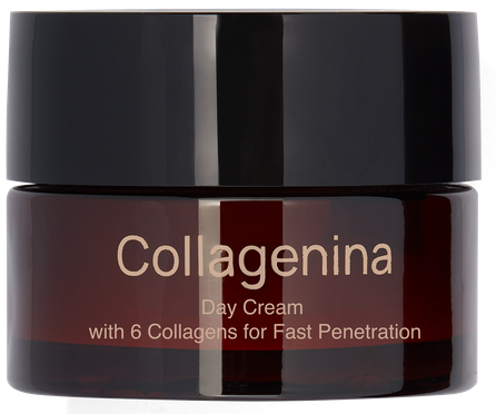 COLLAGENINA With 6 Collagens, Grade 3, Day veido kremas, 50 ml
