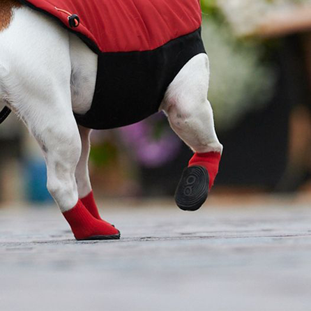 GOO-EEZ raudoni, 2XS batukai šunims, 4 vnt.