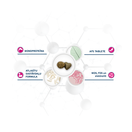 FORZA10 Active VetDiet Cat Intestinal, suaugusioms katėms sausas pašaras, 400 g