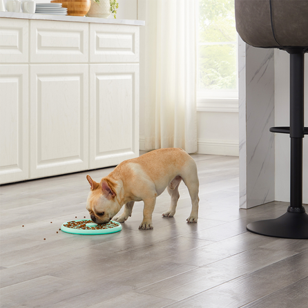 OUTWARD HOUND Fun Feeder Slo Tray, šviesiai žalios spalvos, L žaislas, 1 vnt.