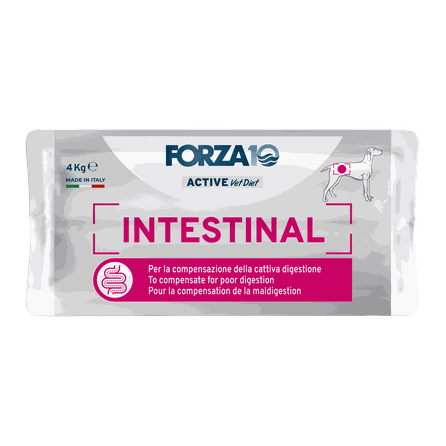 FORZA10 Activevetdiet Intestinal, šunims sausas pašaras, 4 kg