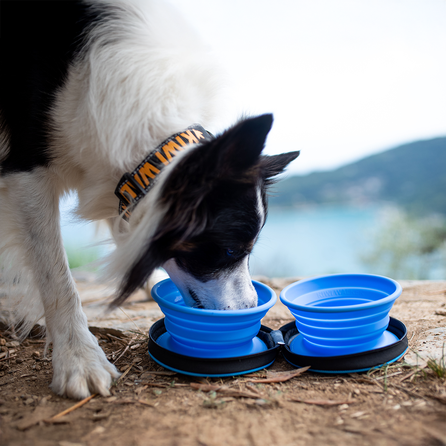 KIWI WALKER sulankstomas dvigubas, žalias dubenėlis, 1 vnt.