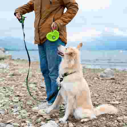 KIWI WALKER patogus, lengvai valomas, žalias saldainių maišelis, 1 vnt.