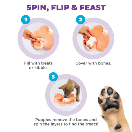 OUTWARD HOUND Dog Tornado, rožinis, S žaislas, 1 vnt.